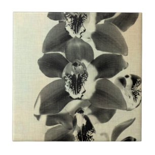 Azulejo De Cerâmica Painéis Blush Orchid IV