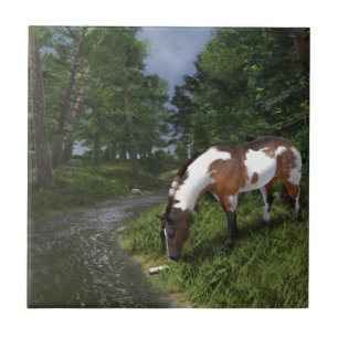 Azulejo De Cerâmica Paint Horse por Forest Stream