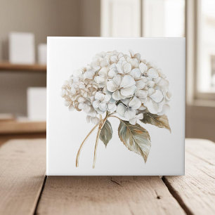 Azulejo De Cerâmica País francês Elegante de hydrangea de marfim branc