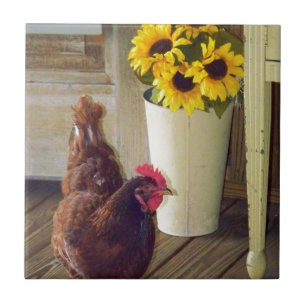 Azulejo De Cerâmica País verdadeiro