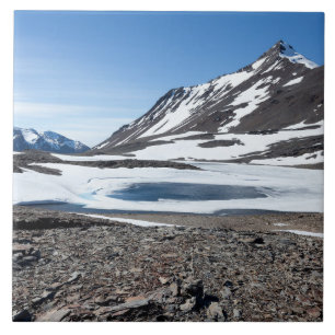 Azulejo De Cerâmica Paisagem da Geórgia do Sul