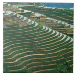 Azulejo De Cerâmica Paisagem de terraços de arroz na montanha, 3