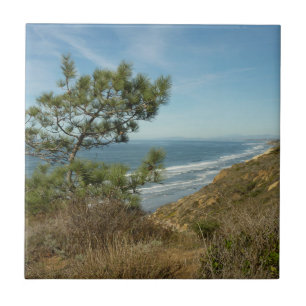 Azulejo De Cerâmica Paisagem de Torrey Pine e Costa da Califórnia