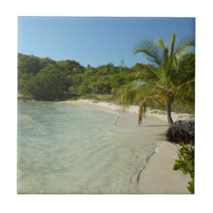 Azulejo De Cerâmica Paisagem tropical bonita de antiguan Beach