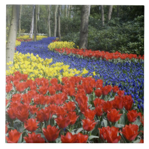 Azulejo De Cerâmica Países Baixos, Holanda, Lisse, Jardins Keukenhof