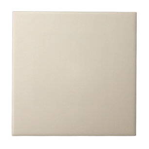 Azulejo De Cerâmica Pale Taupe Sólido