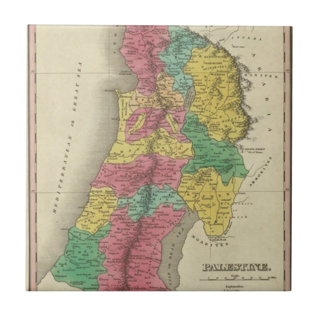 Azulejo De Cerâmica Palestina (Frente)