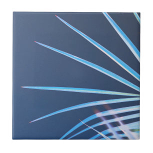 Azulejo De Cerâmica Palm Tree deixa um esboço de minimalismo