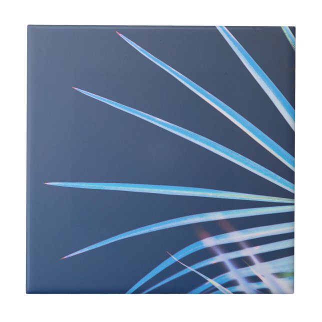 Azulejo De Cerâmica Palm Tree deixa um esboço de minimalismo (Frente)