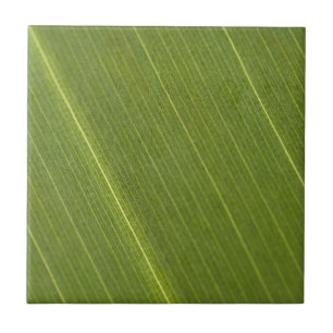 Azulejo De Cerâmica Palm Tree Leaf