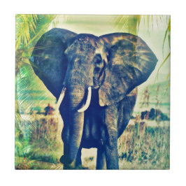 Azulejo De Cerâmica Palmas do Elefante