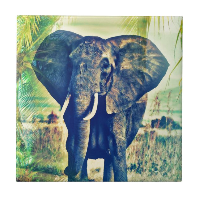Azulejo De Cerâmica Palmas do Elefante (Frente)