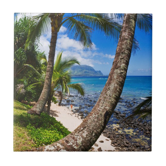 Azulejo De Cerâmica Palmeiras ao longo da praia de Hideaways (Frente)