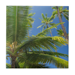 Azulejo De Cerâmica Palmeiras de coco, Pu'uhonua o Honaunau 1