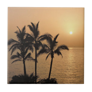 Azulejo De Cerâmica Palmeiras e Sunset Romântico