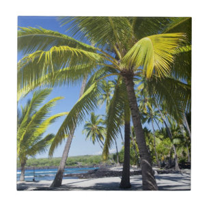 Azulejo De Cerâmica Palmeiras, Parque Histórico Nacional Pu'uhonua