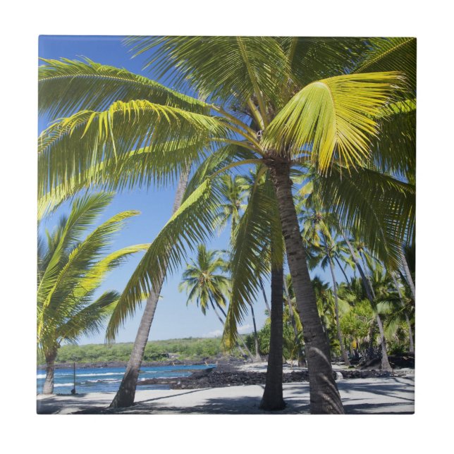 Azulejo De Cerâmica Palmeiras, Parque Histórico Nacional Pu'uhonua (Frente)