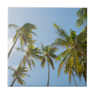 Azulejo De Cerâmica Palmeiras Tropicais, Praia e Estilo de Férias