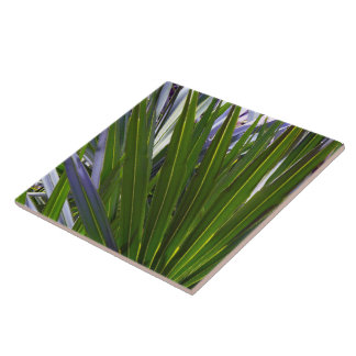 Azulejo De Cerâmica Palmetto Tropicale