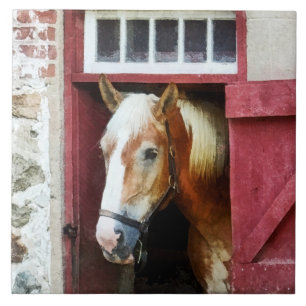 Azulejo De Cerâmica Palomino por Barn Door
