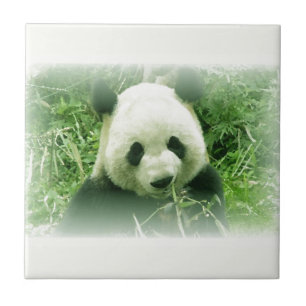 Azulejo De Cerâmica Panda