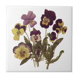 Azulejo De Cerâmica Pansias Vintage em Sangue, Flores de Jardim Floral