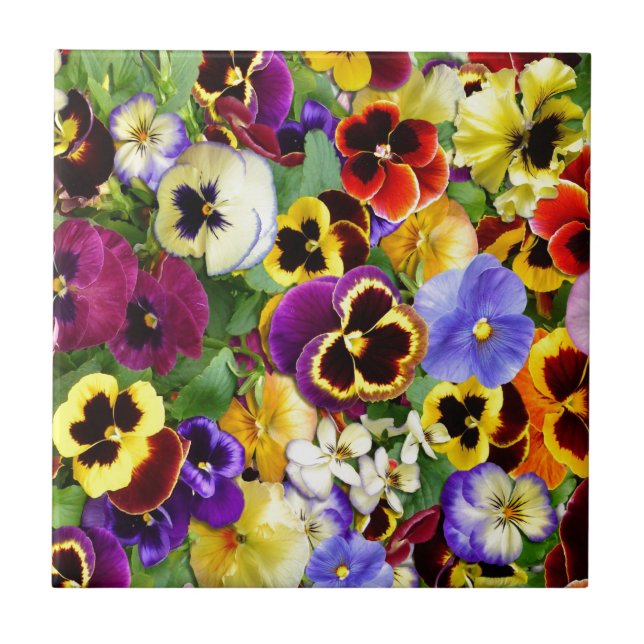 Azulejo De Cerâmica Pansies bonito (Frente)