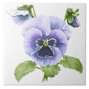 Azulejo De Cerâmica Pansies Roxas Flores Arte Botânica