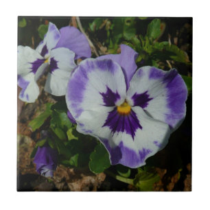 Azulejo De Cerâmica Panteras roxas e brancas Floral colorida