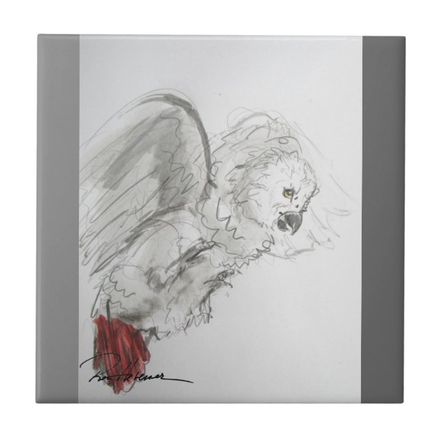 Azulejo De Cerâmica Papagaio (Frente)