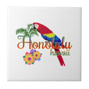 Azulejo De Cerâmica Papagaio tropical de Honolulu Havaí