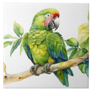 Azulejo De Cerâmica Papagaio Verde Aquarela em um Galho de Árvore