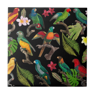 Azulejo De Cerâmica Papagaios Tropicais Coloridos, Folhas e Flores