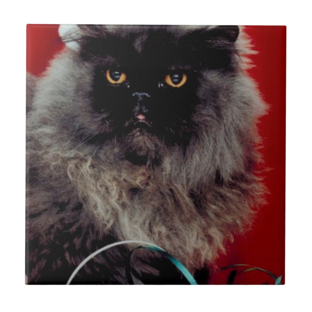 Azulejo De Cerâmica Papais noeis Cat (Frente)