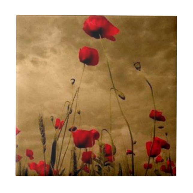 Azulejo De Cerâmica Papoilas (Frente)