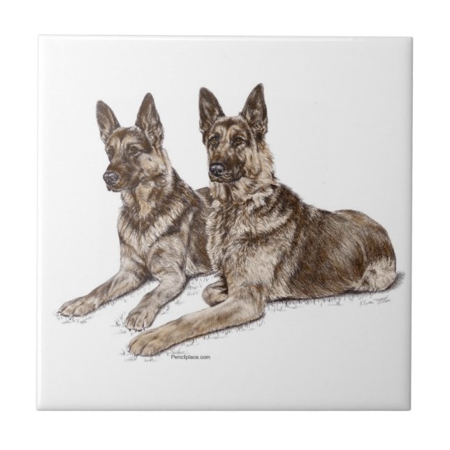 Azulejo De Cerâmica Par de Cães Pastor Alemão (Frente)