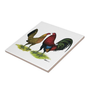 Azulejo De Cerâmica Par de Gamefowl