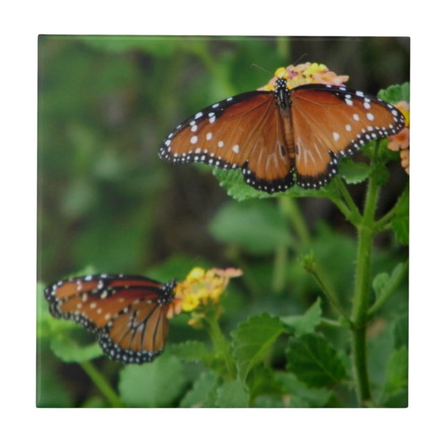 Azulejo De Cerâmica Par de Rainhas Borboletas (Frente)