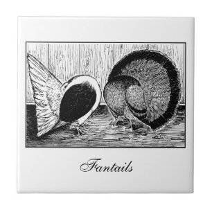 Azulejo De Cerâmica Par Fantail