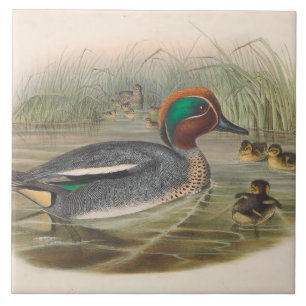 azulejo de cerâmica para decoração de patos leg