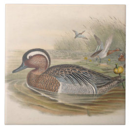 azulejo de cerâmica para decoração de patos legal