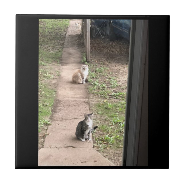 Azulejo de cerâmica para gatos (Frente)