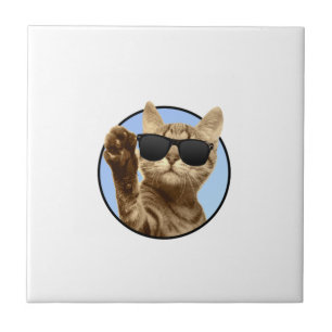 Azulejo de cerâmica para gatos legal