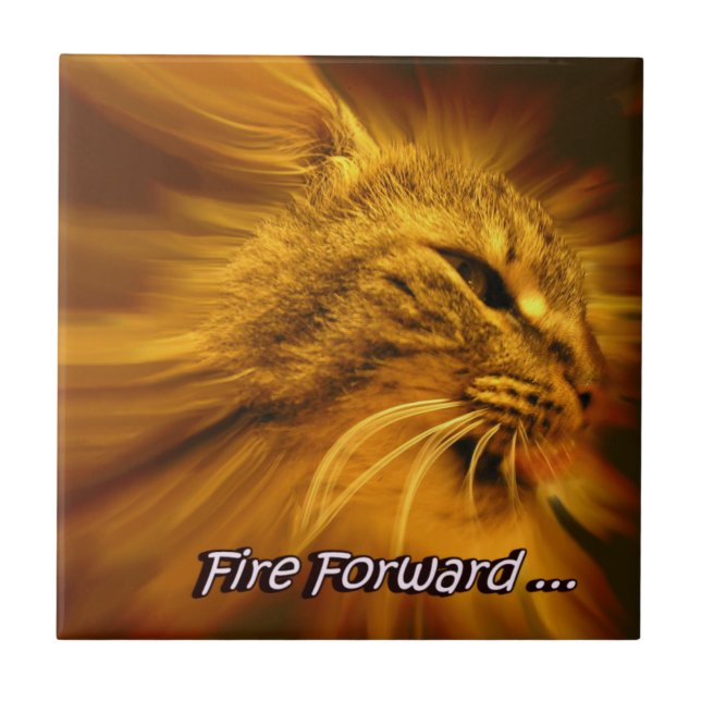 Azulejo de cerâmica para gatos motivadores (Frente)