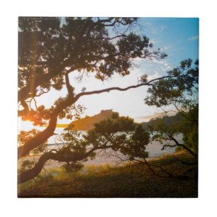 Azulejo De Cerâmica Paraíso Nova Zelândia da praia de Coromandel do