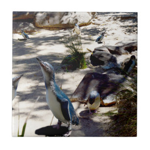 Azulejo De Cerâmica Paraíso Seguro: Pinguim Fada,