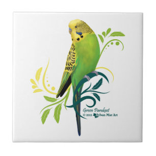 Azulejo De Cerâmica Parakeet verde