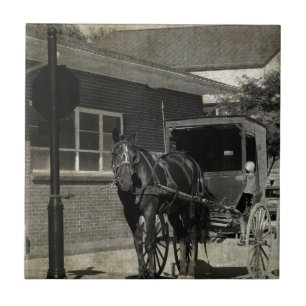 Azulejo De Cerâmica Parar para um Ortografia, Cavalo Amish no Sinal de
