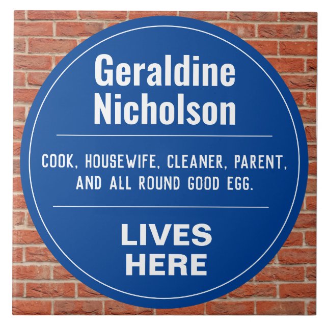 Azulejo De Cerâmica Parede Comemorativa Engraçada (Frente)