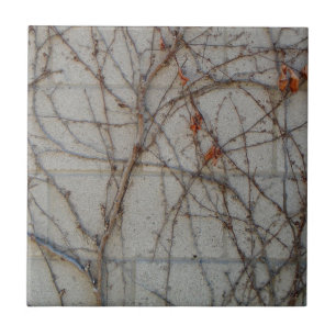 Azulejo De Cerâmica Parede do bloco de cimento com videiras